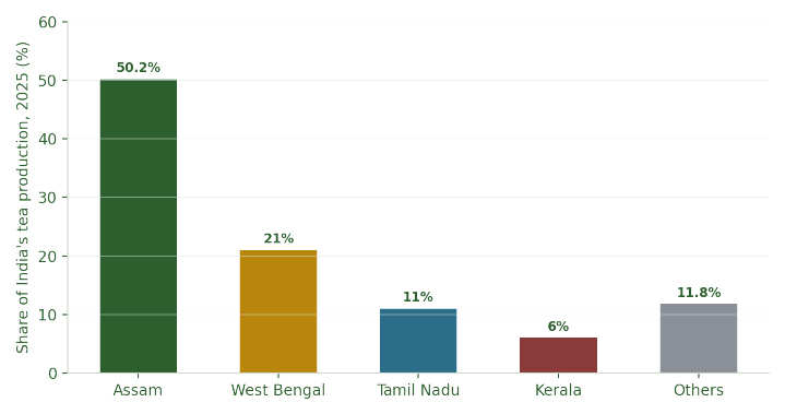 Share of India's total tea production, 2025. Assam alone produces more tea than every other Indian state combined.