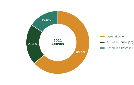 Figure 4 — Social category composition, 2011 Census