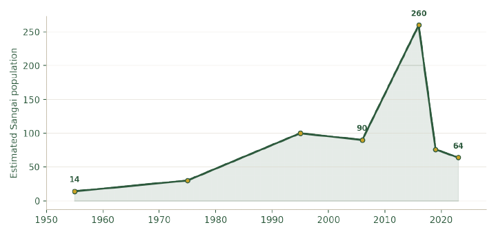 Estimated Sangai (Rucervus eldii eldii) population at Keibul Lamjao. The subspecies fell to roughly 14 individuals by the early 1950s-70s before recovering — but a 2023 Wildlife Institute of India-linked study found renewed decline since 2006.