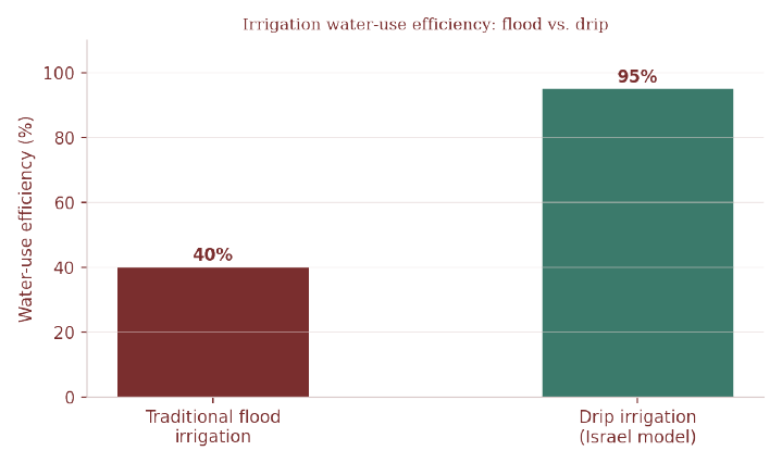 Water-use efficiency: traditional flood irrigation vs. Israel's drip-irrigation model.